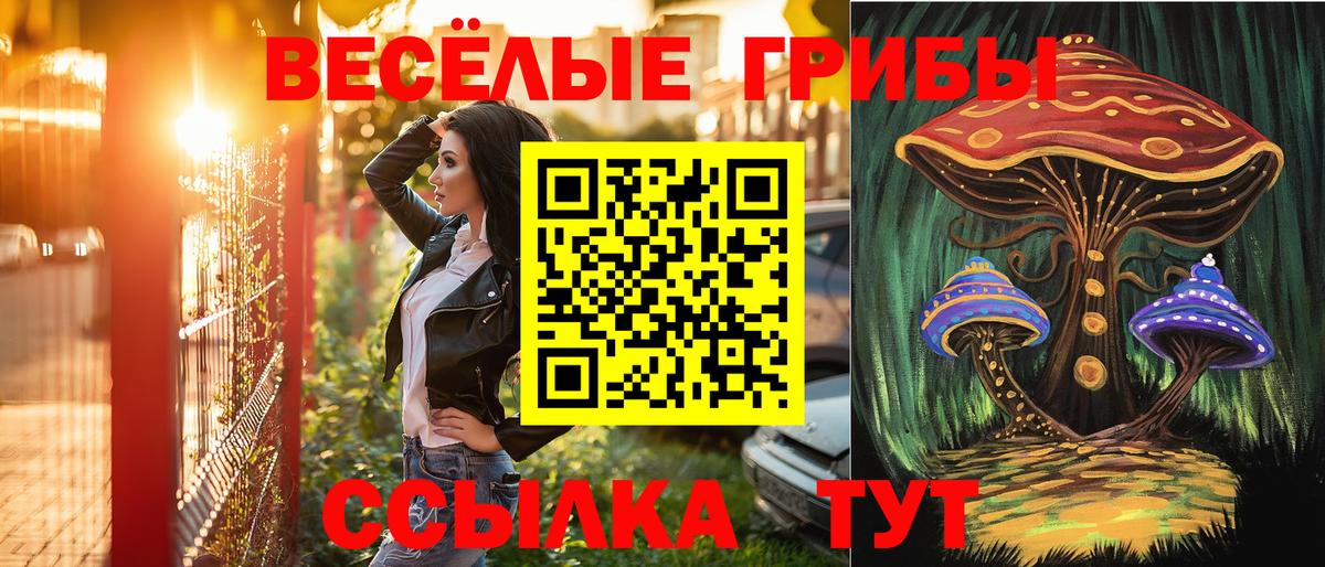 Псилоцибиновые грибы Psilocybine cubensis Киселёвск