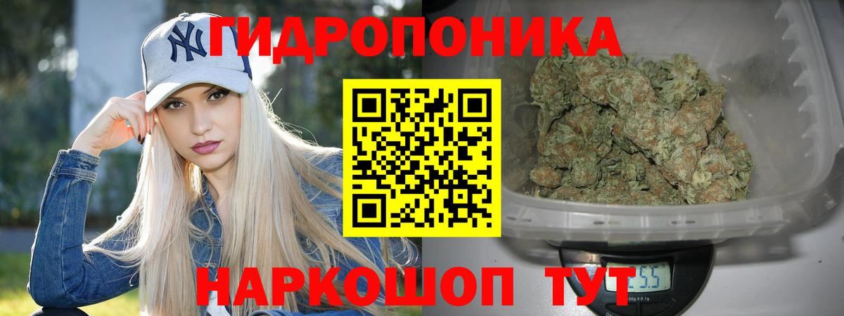 Канабис сатива Киселёвск